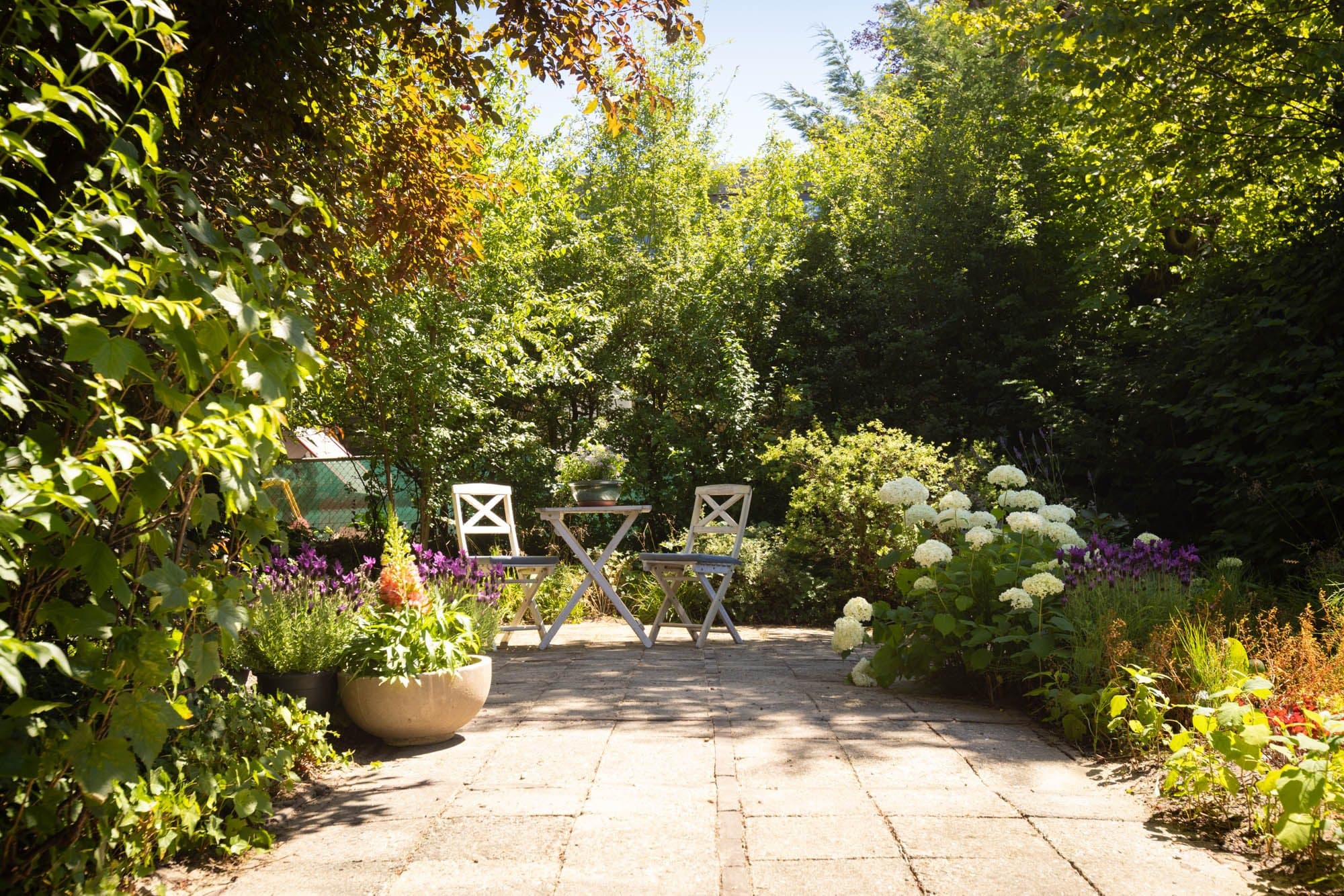 De tuin achter ons pand